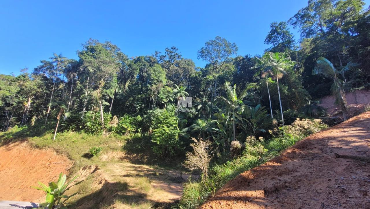 Sítio/Chácara à venda no bairro São Luiz: 