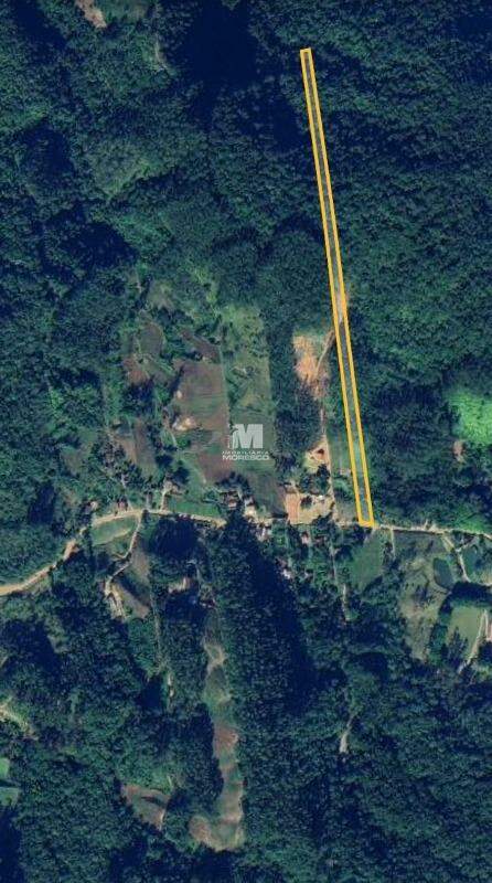 Sítio/Chácara à venda no bairro Lageado Alto: 