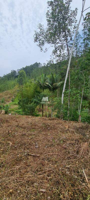 Sítio/Chácara à venda no bairro Lageado Alto: 