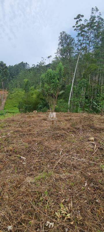 Sítio/Chácara à venda no bairro Lageado Alto: 