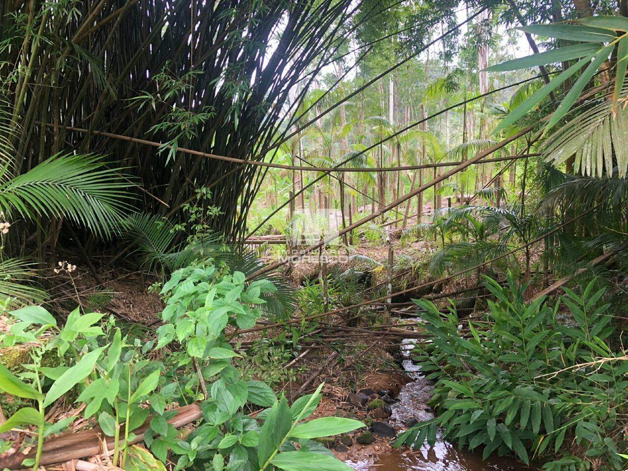 Sítio/Chácara à venda no bairro Lageado Alto: 