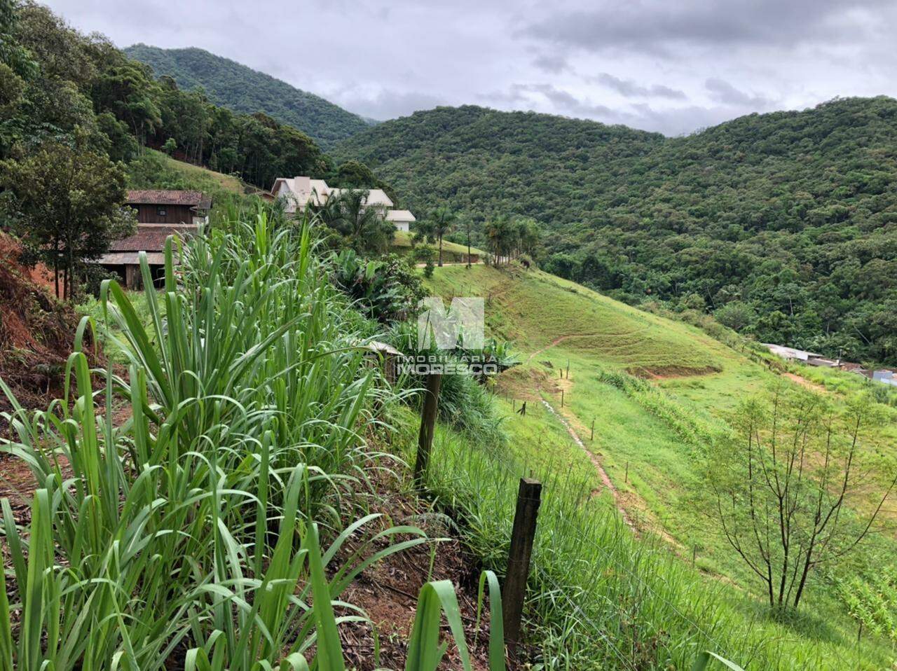 Fazenda/Sítios/Chácaras de 3 quartos, no bairro Tirol, em Nova Trento | Eu Corretor