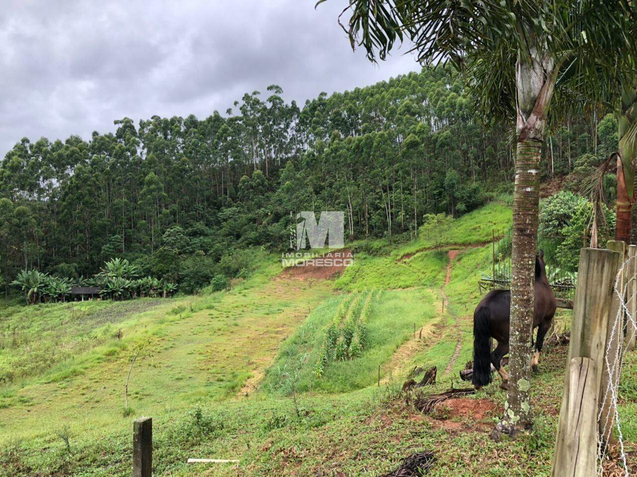 Fazenda/Sítios/Chácaras de 3 quartos, no bairro Tirol, em Nova Trento | Eu Corretor