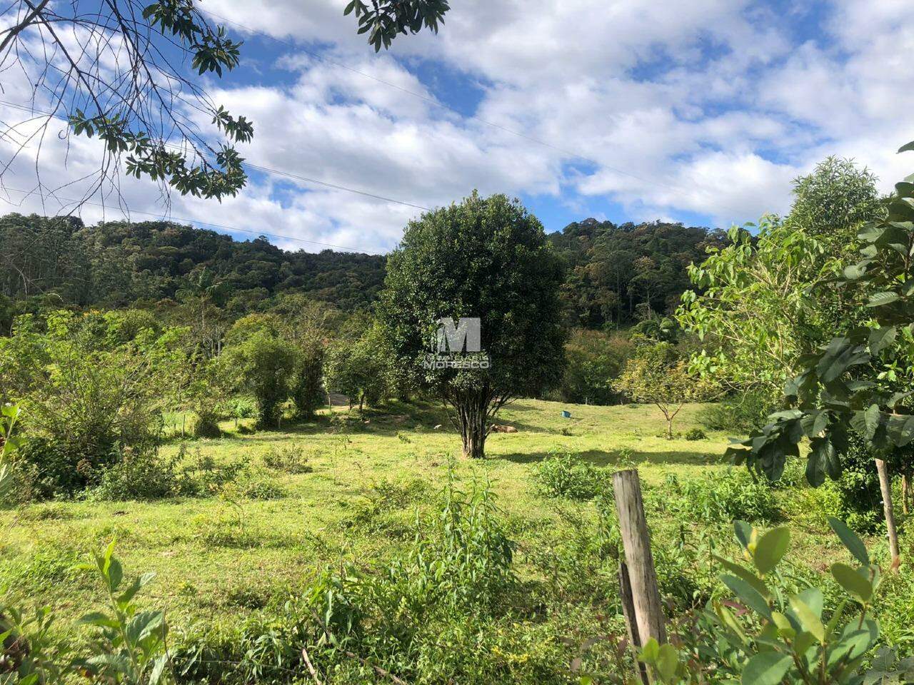 Terreno à venda no bairro Alsácia: