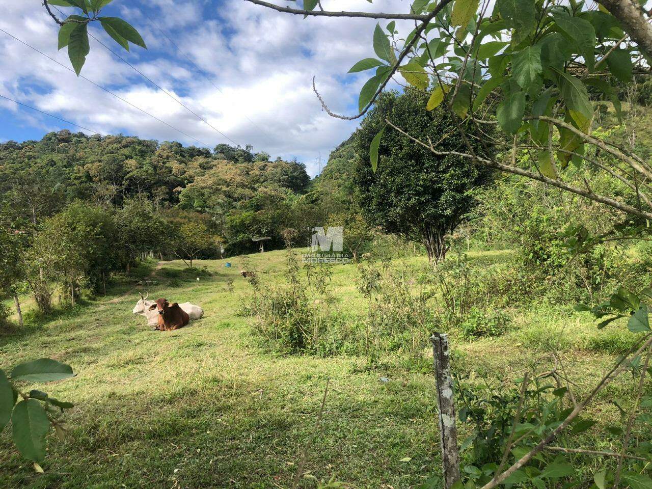 Terreno à venda no bairro Alsácia: