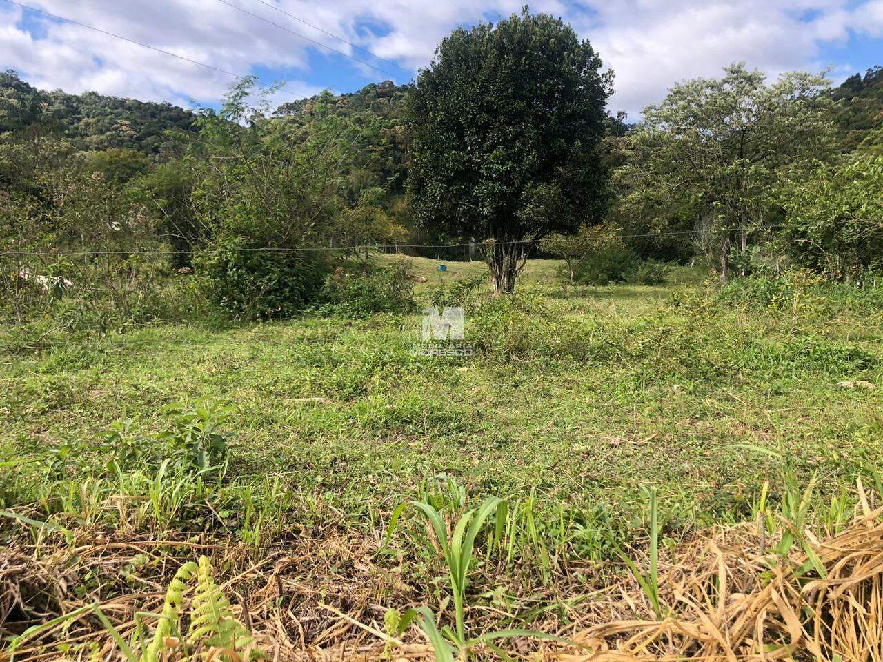 Terreno à venda no bairro Alsácia: