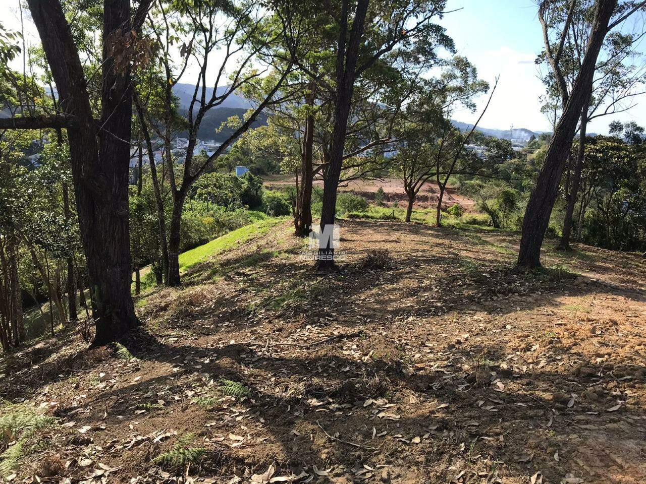 Galpão à venda no bairro Nova Brasília: Fundos do terreno