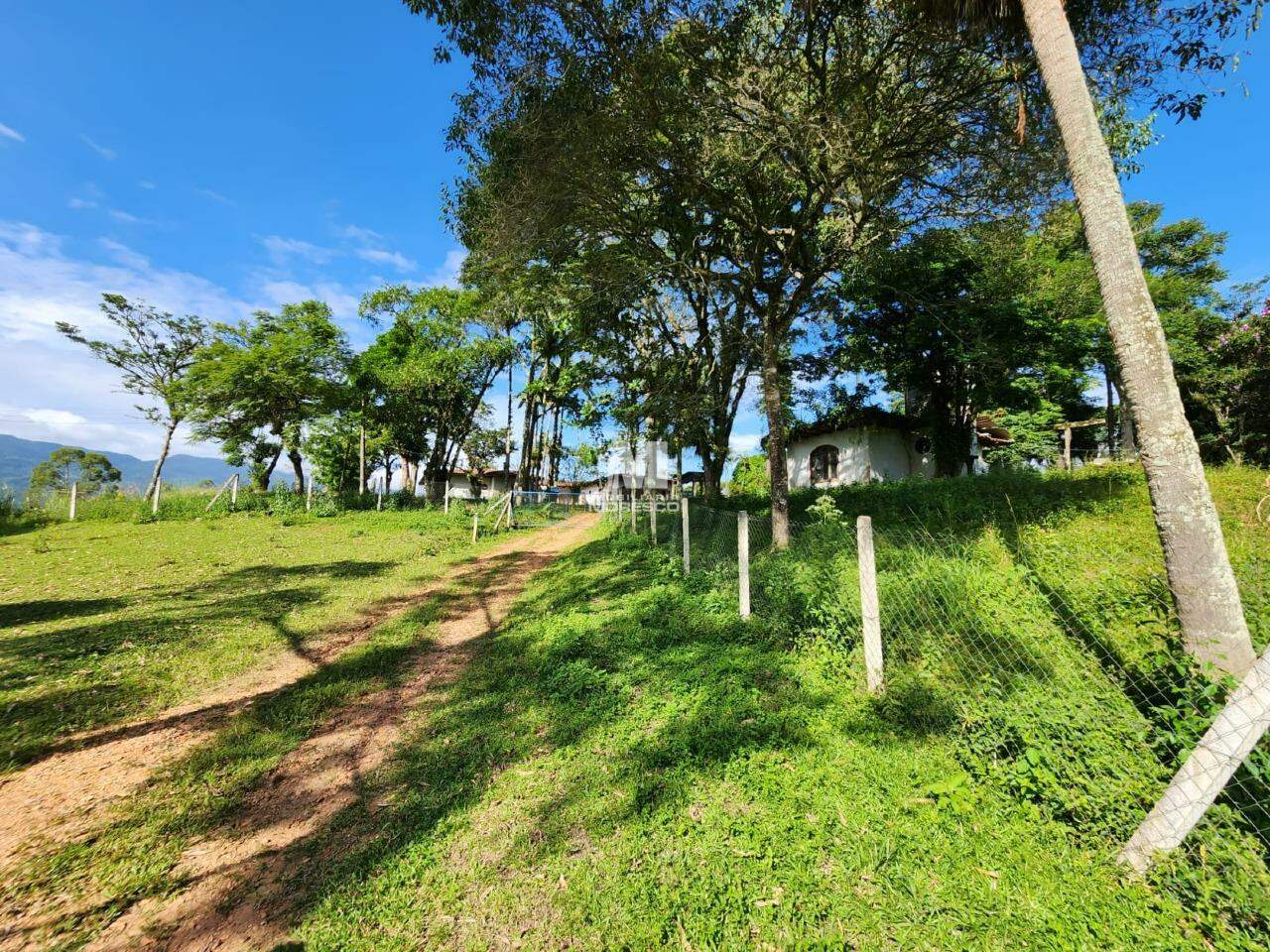 Imóvel Comercial de 4 quartos, 400m² no bairro Centro, em Canelinha | Eu Corretor