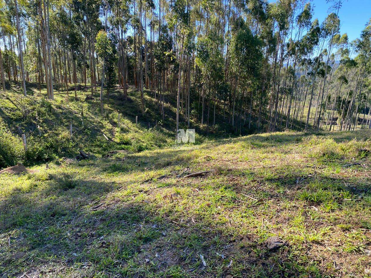 Fazenda/Sítios/Chácaras de no bairro Alto Vargedo, em Leoberto Leal | Eu Corretor