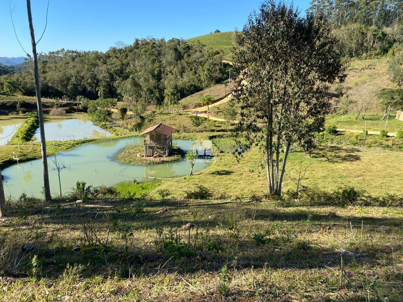 Fazenda/Sítios/Chácaras de no bairro Alto Vargedo, em Leoberto Leal | Eu Corretor