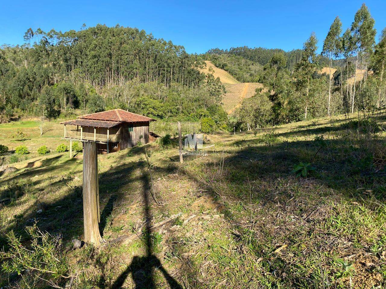 Fazenda/Sítios/Chácaras de no bairro Alto Vargedo, em Leoberto Leal | Eu Corretor