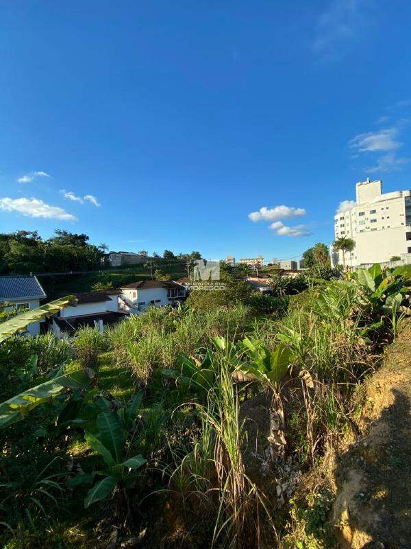 Terreno à venda no bairro Jardim Maluche: