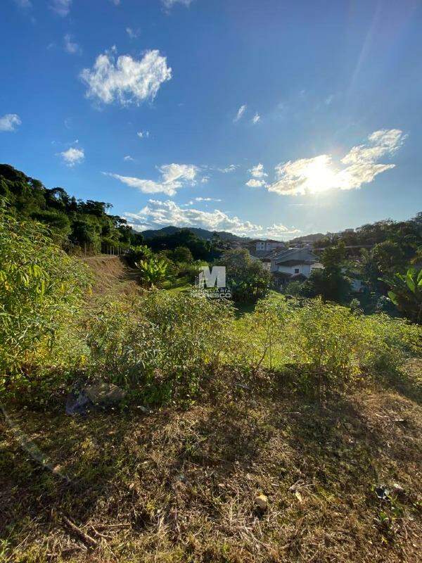 Terreno à venda no bairro Jardim Maluche: 