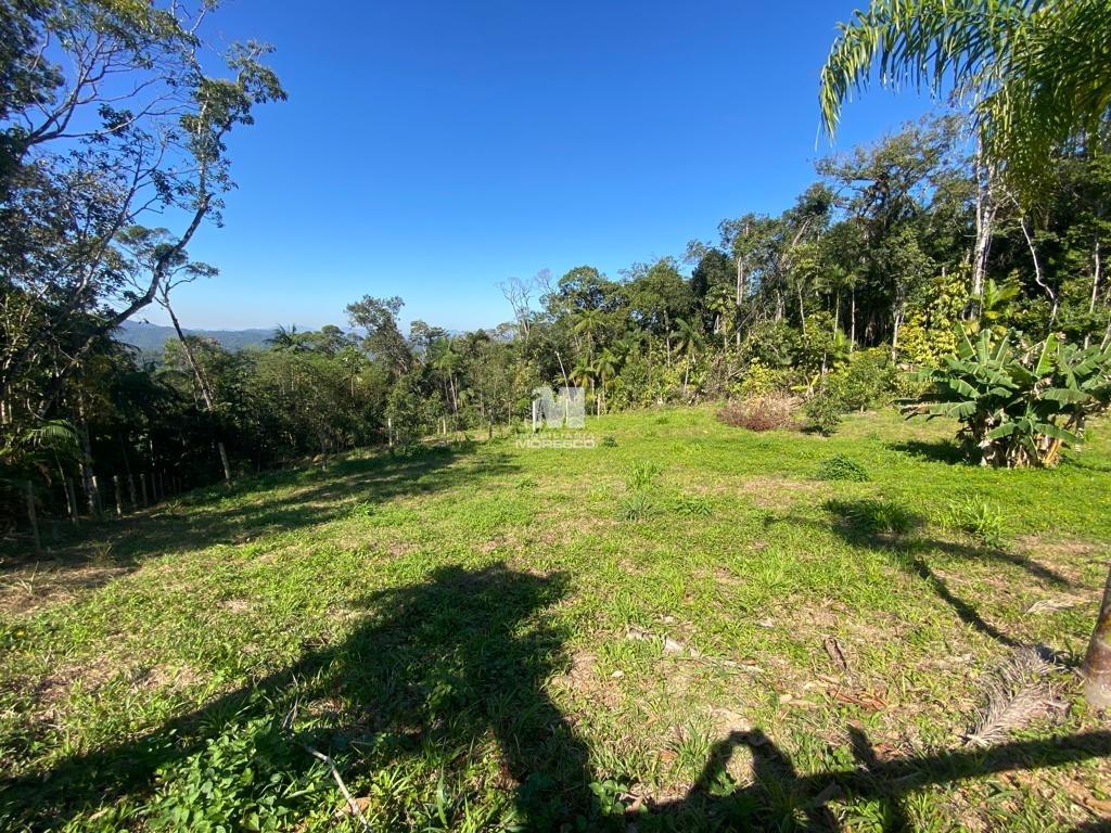 Sítio/Chácara à venda no bairro Alsácia: 