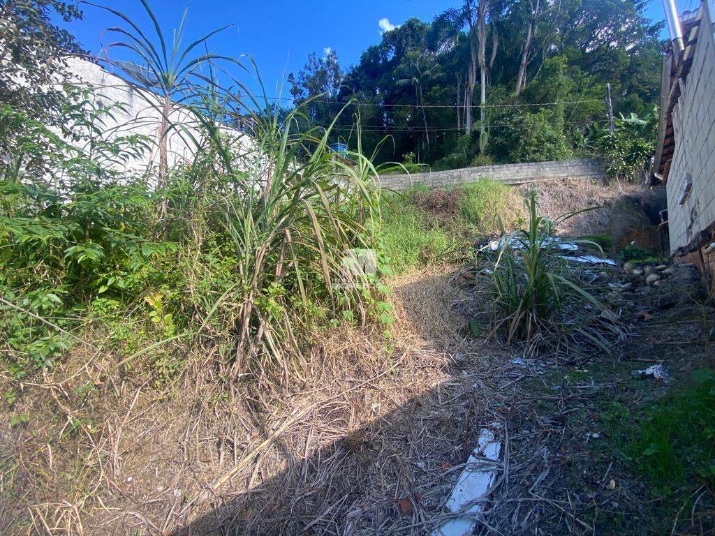 Lote/Terreno de 500m² no bairro Azambuja, em Brusque | Eu Corretor