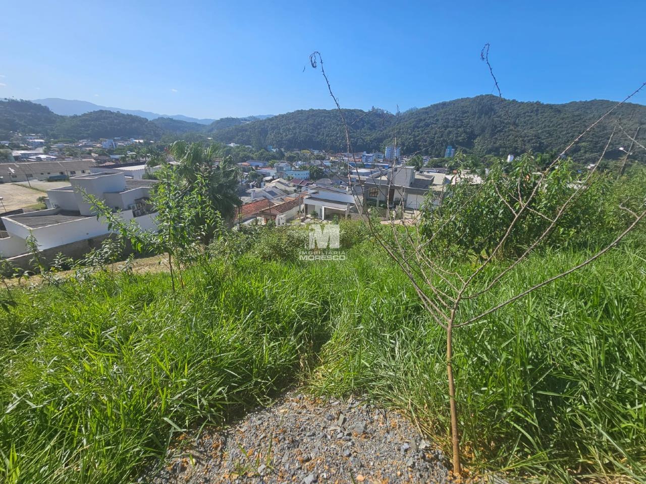Terreno à venda no bairro Guarani: 