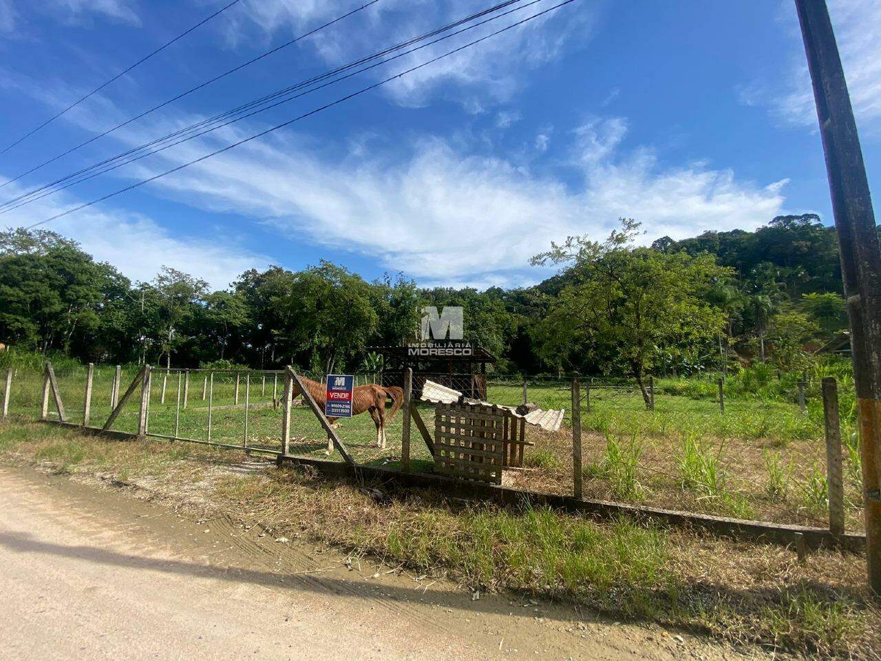 Terreno à venda no bairro Holstein: