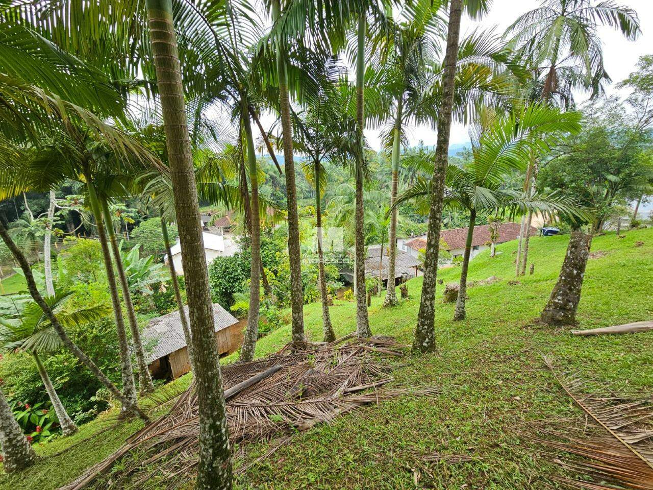 Fazenda/Sítios/Chácaras de 3 quartos, no bairro Alsácia, em Guabiruba | Eu Corretor