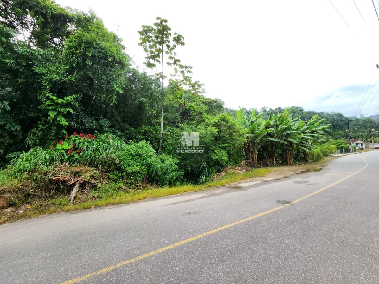 Terreno à venda no bairro Zantão: 