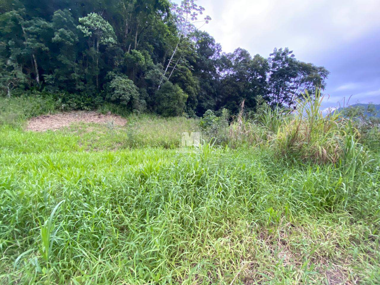 Terreno à venda no bairro Aymoré: