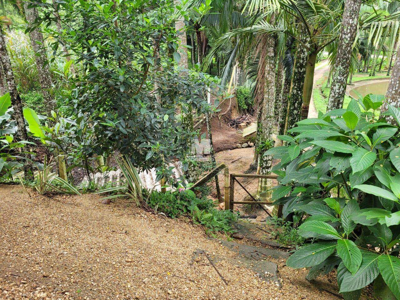 Sítio/Chácara à venda no bairro Limeira: 