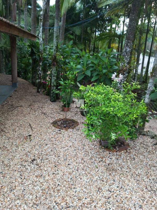 Sítio/Chácara à venda no bairro Limeira: 