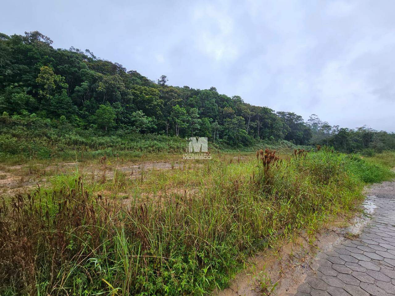 Terreno à venda no bairro Aymoré: 