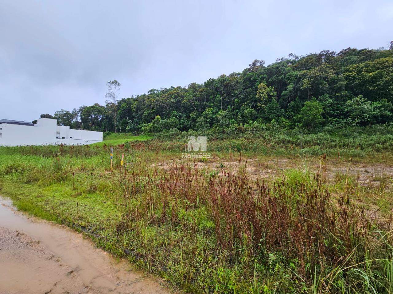 Terreno à venda no bairro Aymoré: 