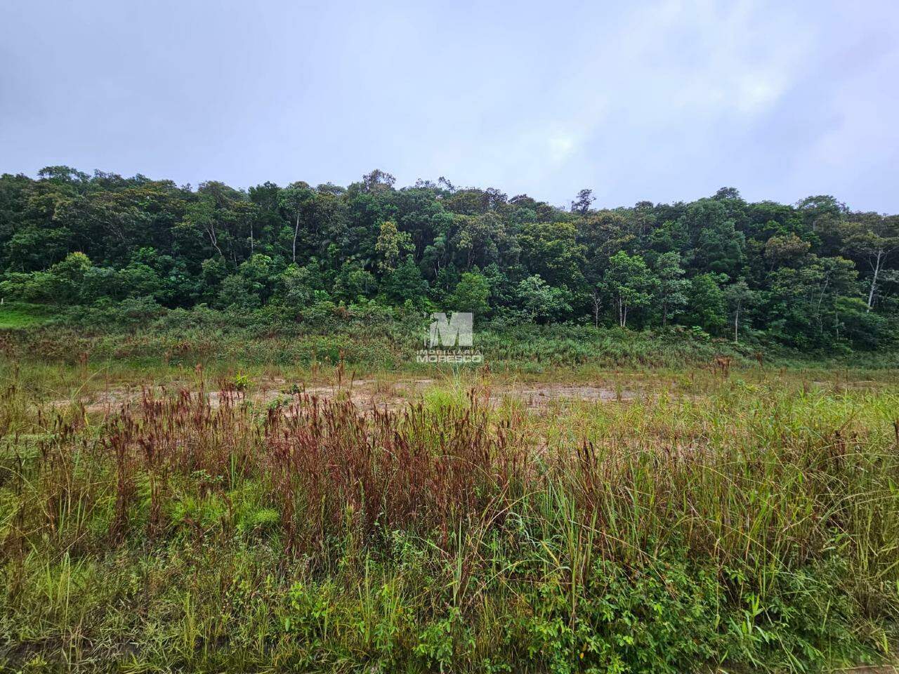Terreno à venda no bairro Aymoré: 