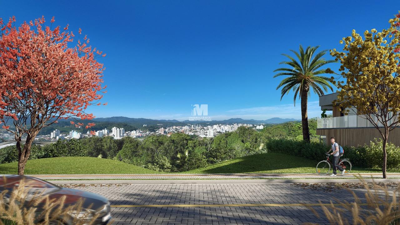 Terreno à venda no bairro Steffen: 