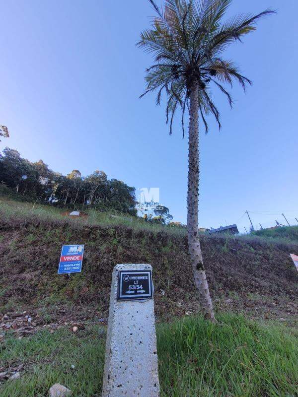 Terreno à venda no bairro Bateas: 