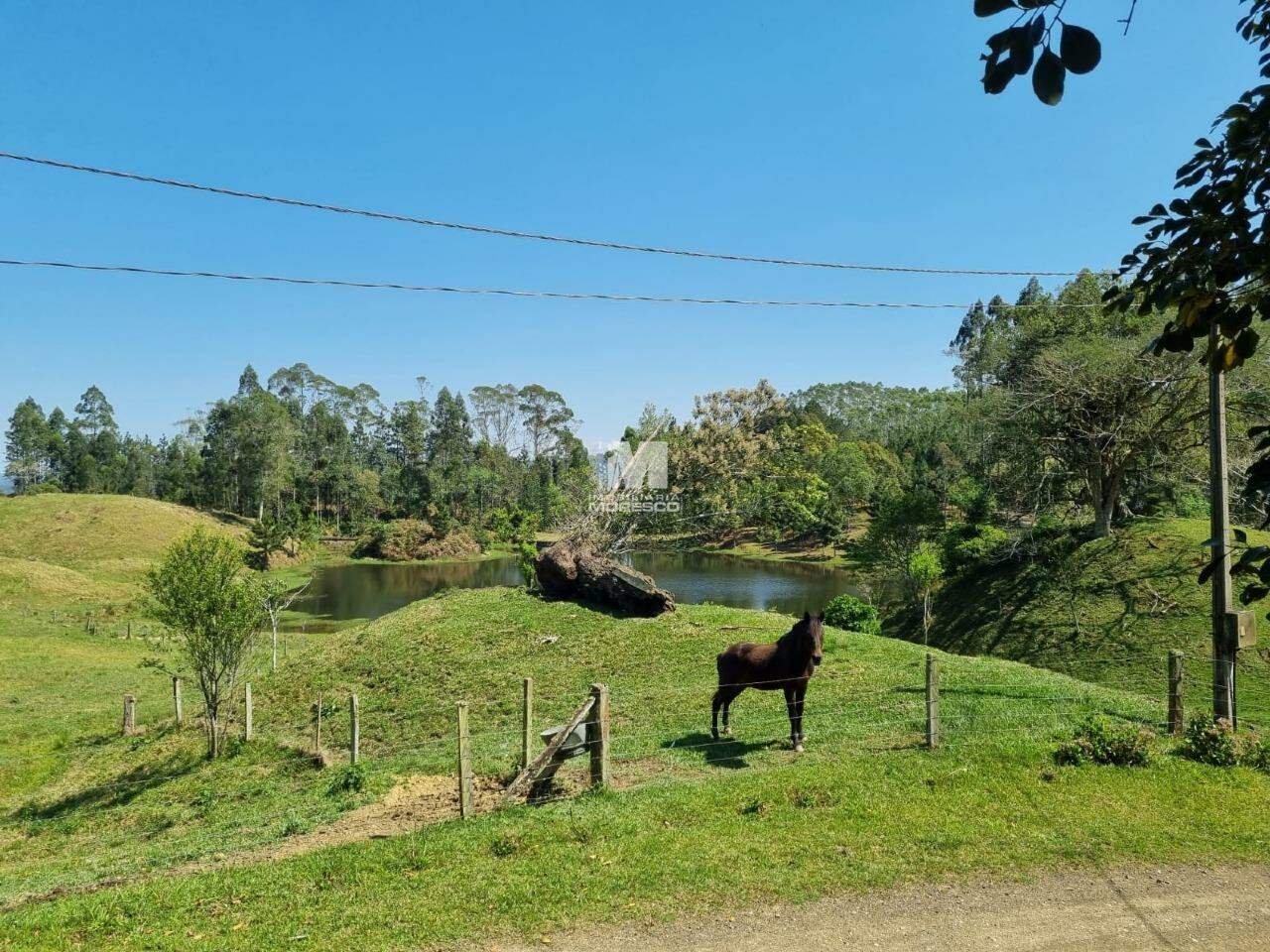 Fazenda/Sítios/Chácaras de 3 quartos, 1250m² no bairro Centro, em Benedito Novo | Eu Corretor