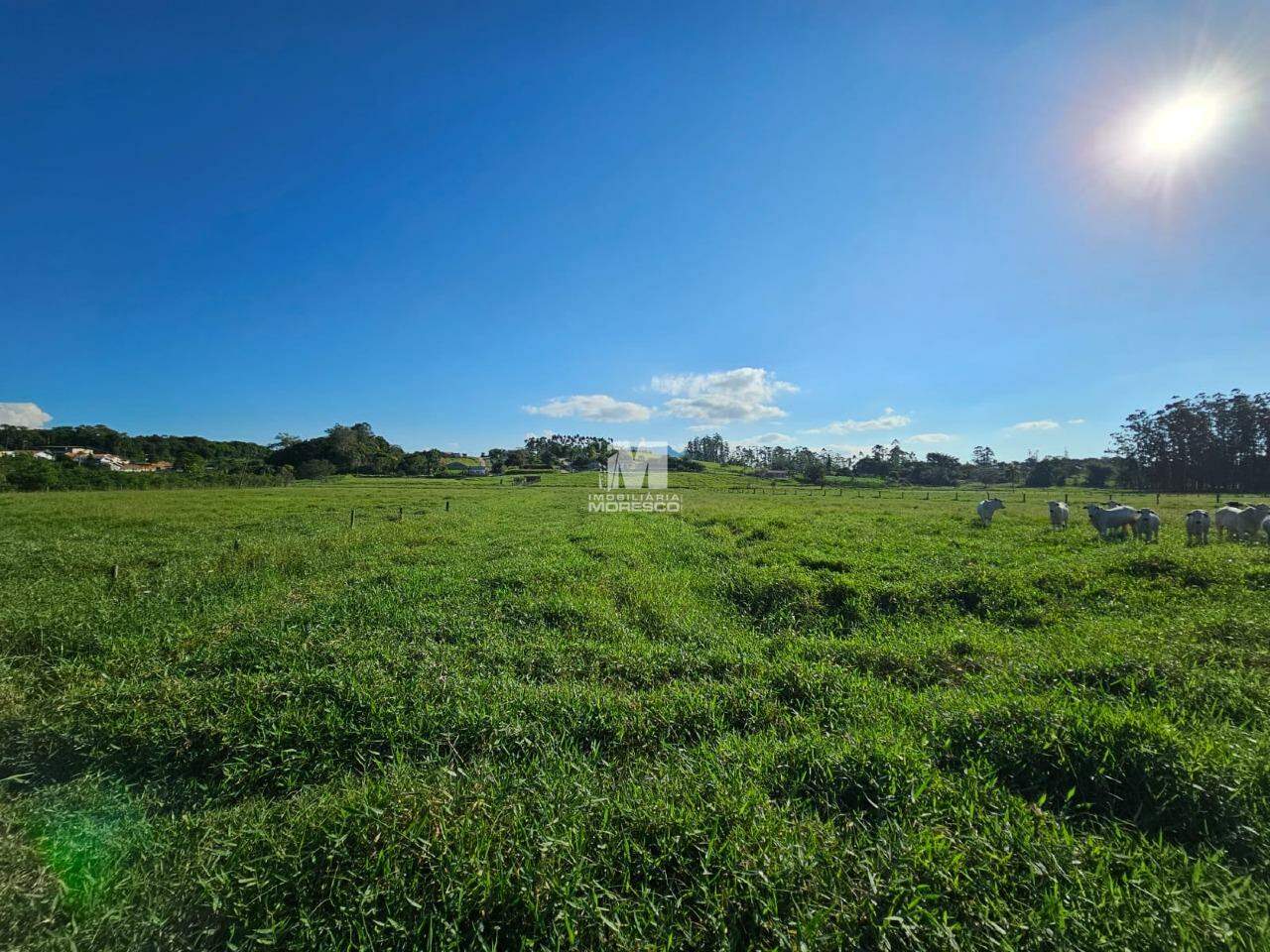 Lote/Terreno de 70000m² no bairro Campeche, em Itajaí | Eu Corretor