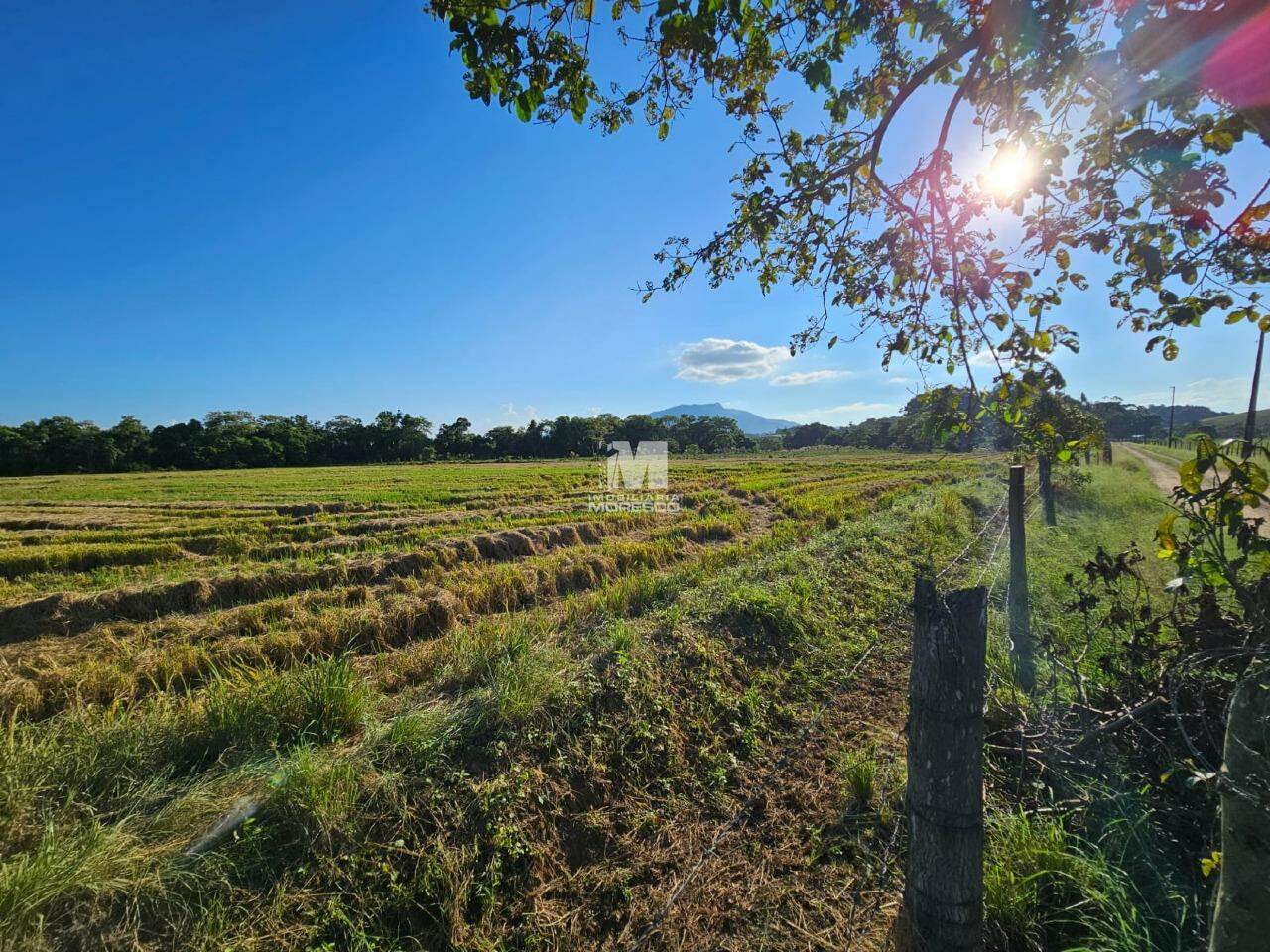 Lote/Terreno de 130000m² no bairro Campeche, em Itajaí | Eu Corretor