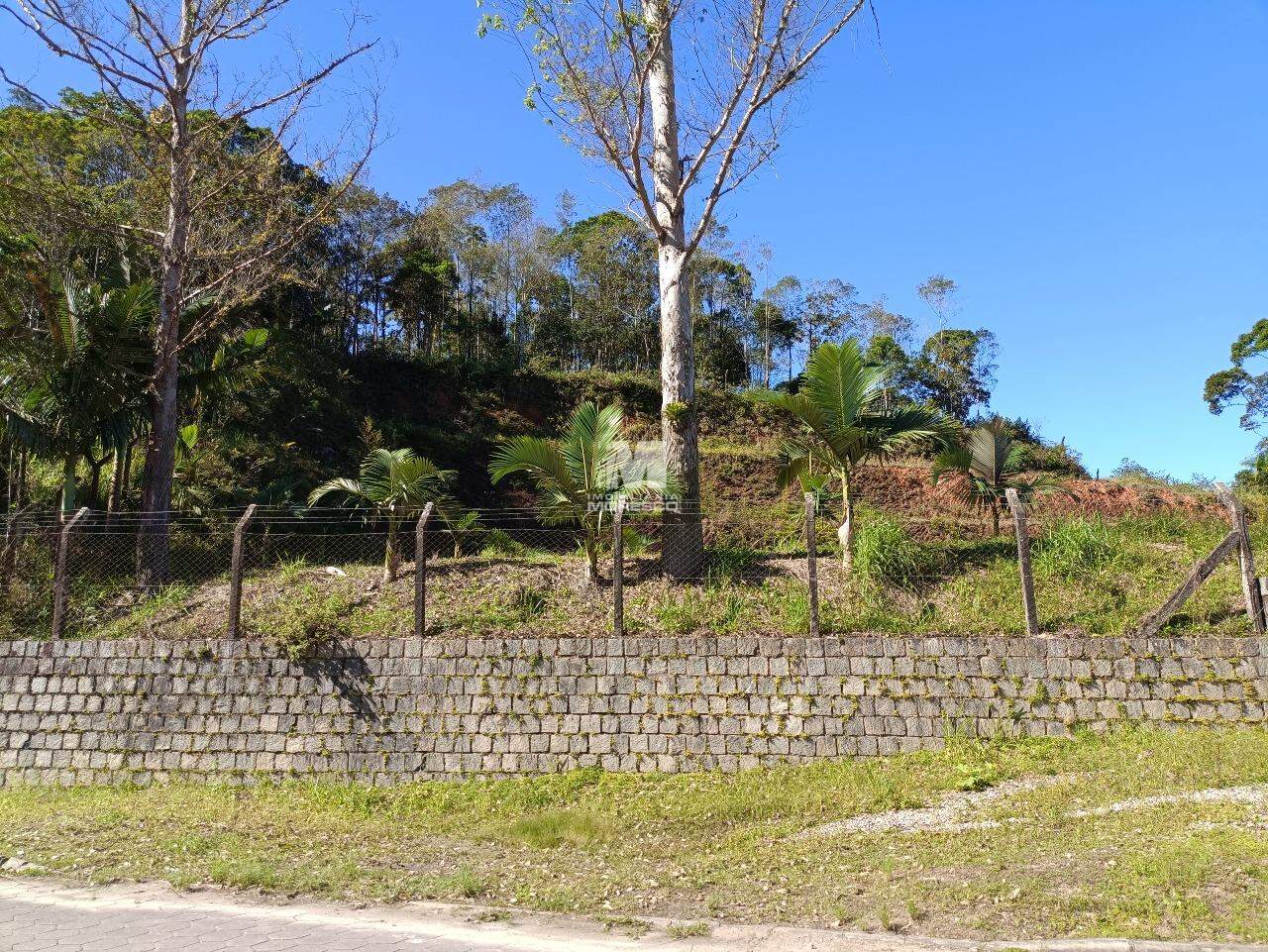 Lote/Terreno de 4561m² no bairro Pomerânia, em Guabiruba | Eu Corretor