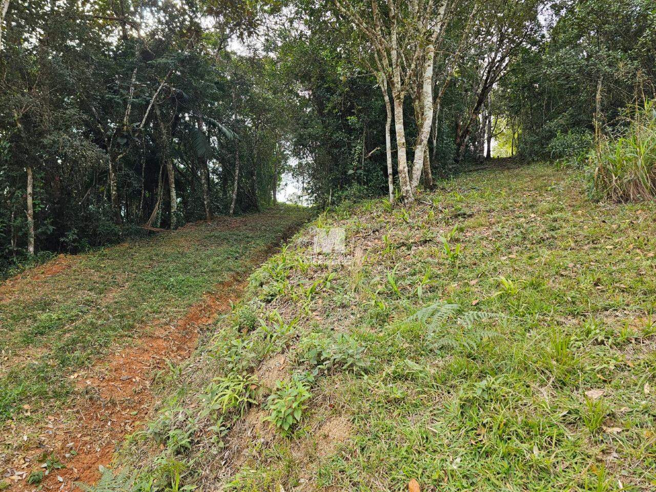 Fazenda/Sítios/Chácaras de no bairro Santa Luzia, em Brusque | Eu Corretor