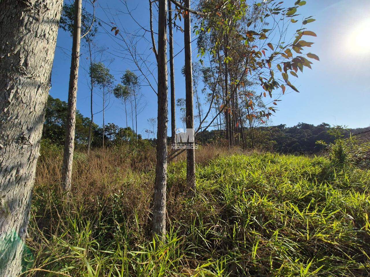 Lote/Terreno de 4318m² no bairro Limoeiro, em Itajaí | Eu Corretor