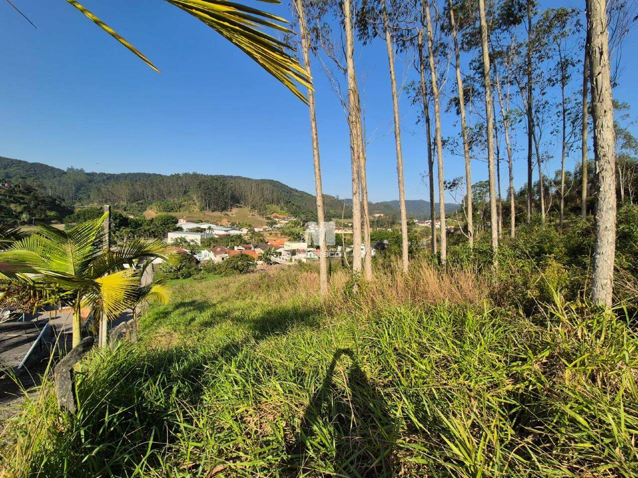 Lote/Terreno de 4318m² no bairro Limoeiro, em Itajaí | Eu Corretor