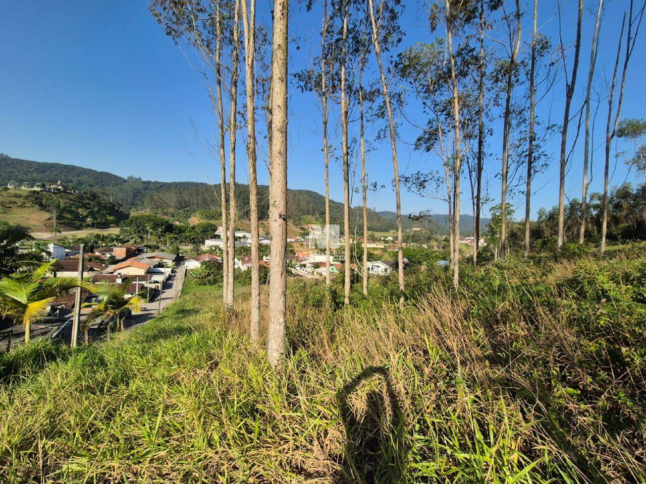 Lote/Terreno de 4318m² no bairro Limoeiro, em Itajaí | Eu Corretor