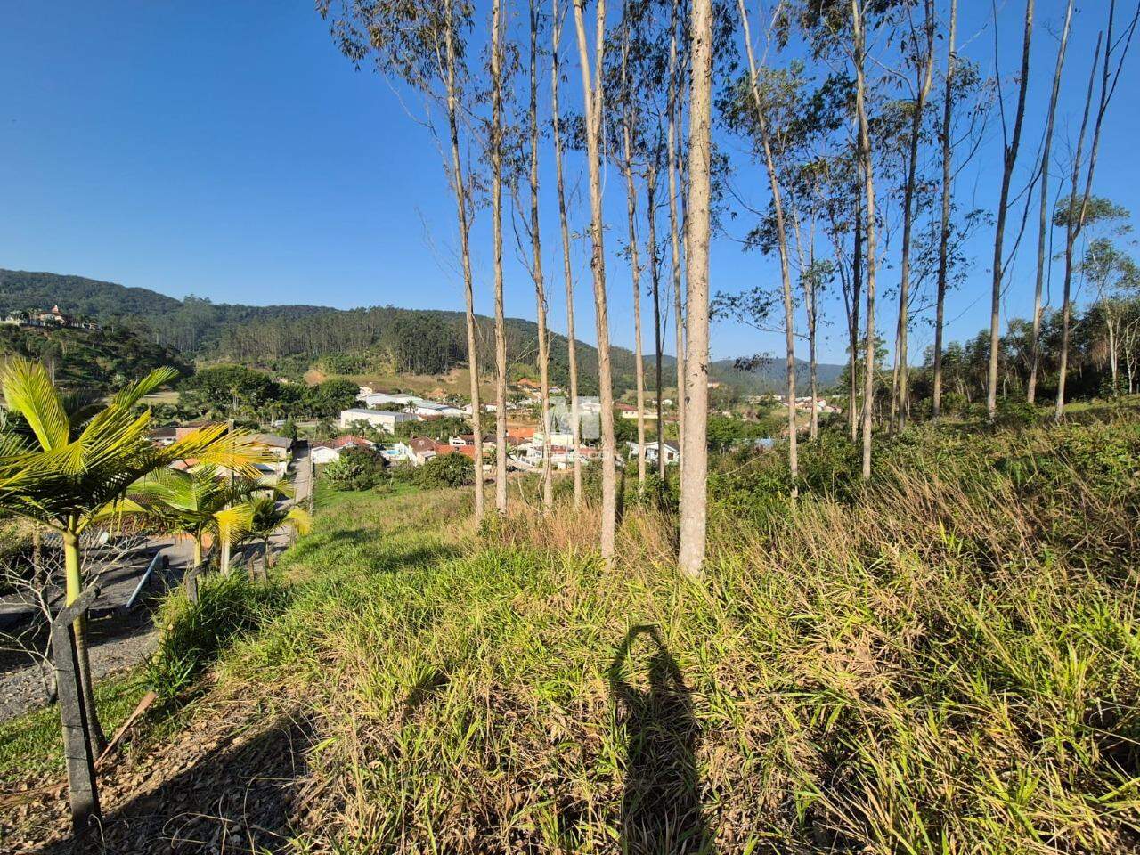 Lote/Terreno de 4318m² no bairro Limoeiro, em Itajaí | Eu Corretor