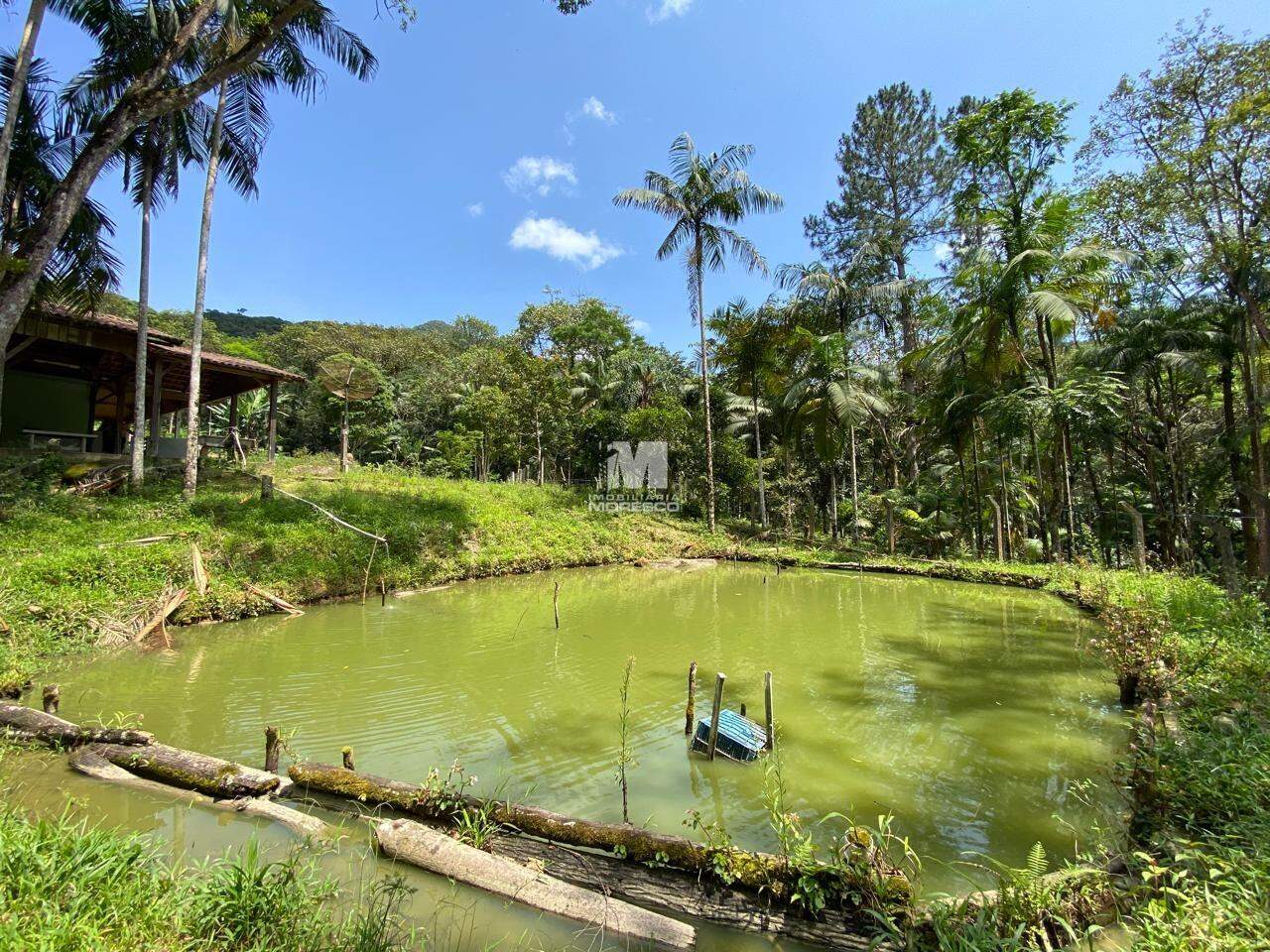 Fazenda/Sítios/Chácaras de 3 quartos, no bairro Alsácia, em Guabiruba | Eu Corretor