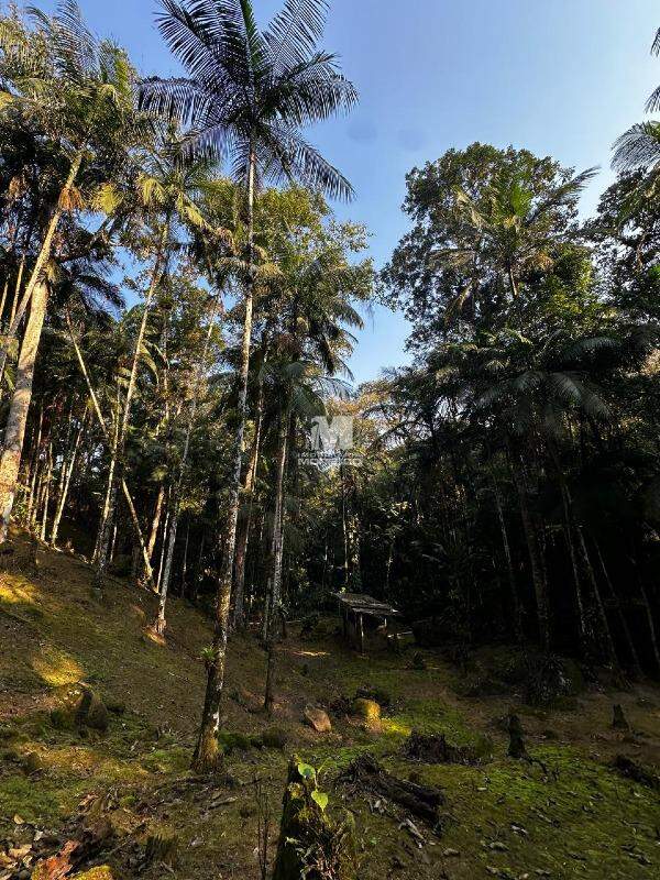 Fazenda/Sítios/Chácaras de 3 quartos, no bairro Alsácia, em Guabiruba | Eu Corretor