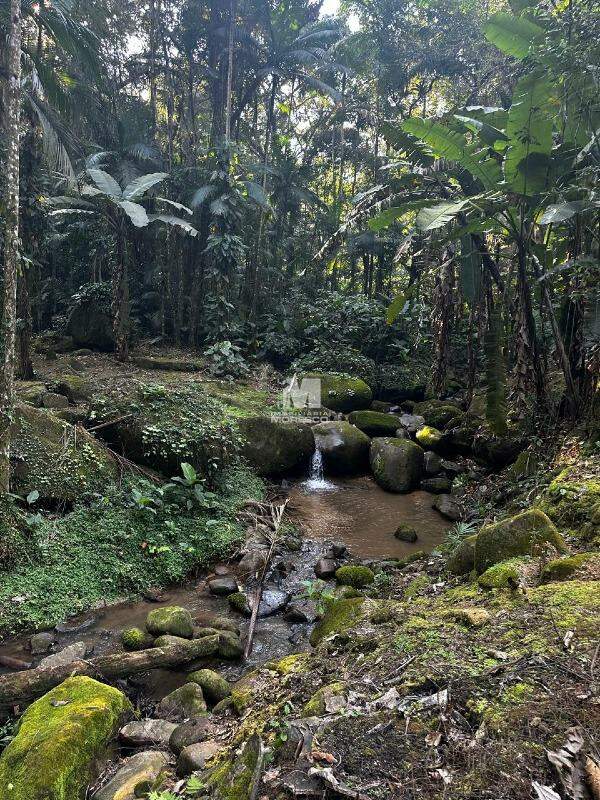 Fazenda/Sítios/Chácaras de 3 quartos, no bairro Alsácia, em Guabiruba | Eu Corretor