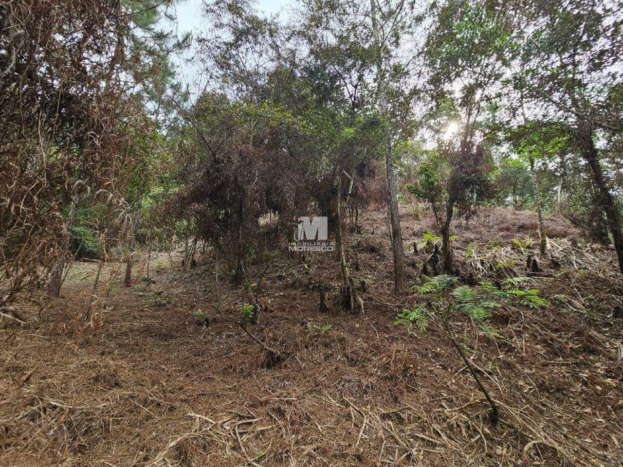 Fazenda/Sítios/Chácaras de no bairro Alsácia, em Guabiruba | Eu Corretor