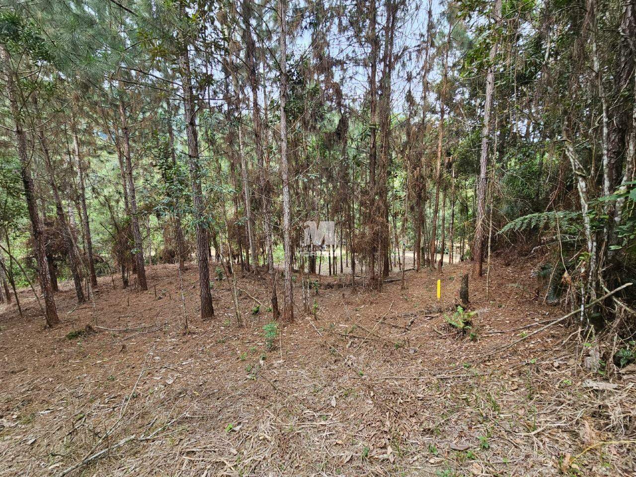 Fazenda/Sítios/Chácaras de no bairro Alsácia, em Guabiruba | Eu Corretor