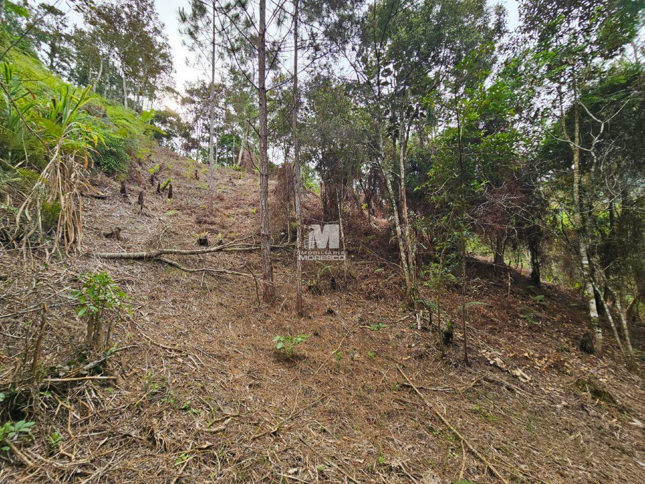 Fazenda/Sítios/Chácaras de no bairro Alsácia, em Guabiruba | Eu Corretor