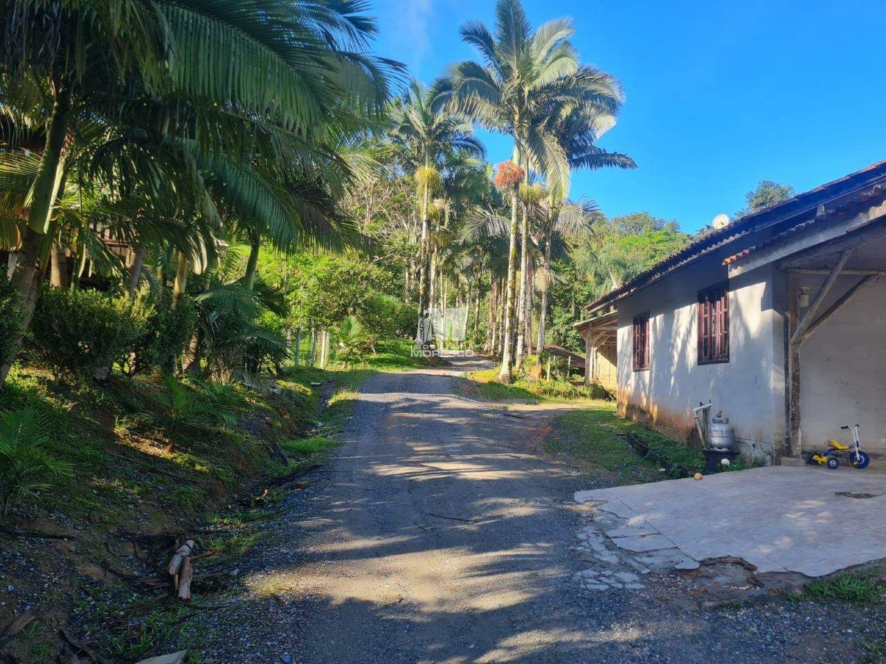 Fazenda/Sítios/Chácaras de 63000m² no bairro Pomerânia, em Guabiruba | Eu Corretor