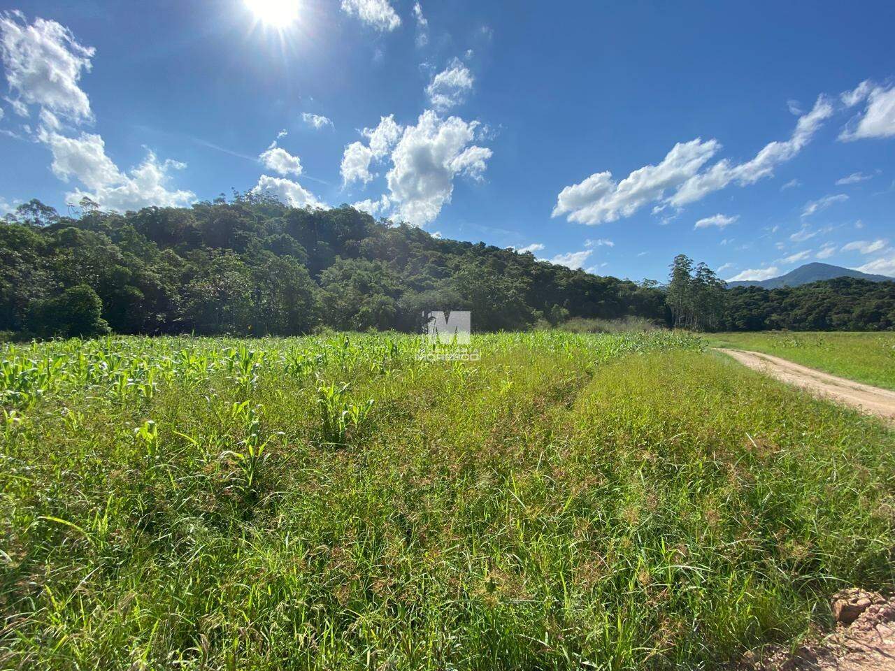 Lote/Terreno de 28917m² no bairro Aymoré, em Guabiruba | Eu Corretor
