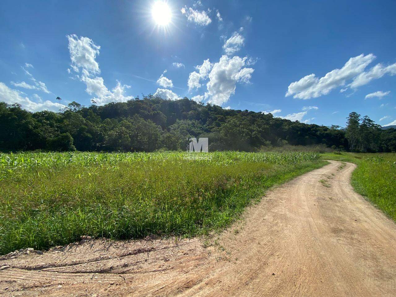 Lote/Terreno de 28917m² no bairro Aymoré, em Guabiruba | Eu Corretor