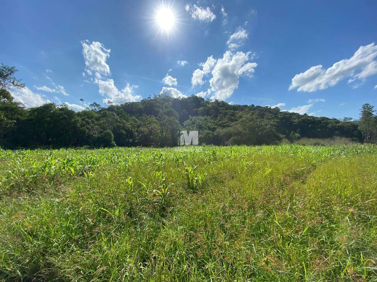 Lote/Terreno de 28917m² no bairro Aymoré, em Guabiruba | Eu Corretor